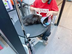 -PETKIT 小佩宠物·低压洗护·美容·寄养(安远店)