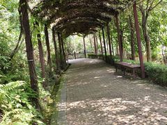 -泉州海丝野生动物世界