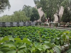 -中央戏剧学院(昌平校区)