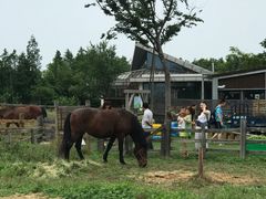 -田园东方蜜桃村的田野营地
