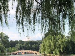 -二一九公园