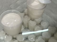 -洪馨椰子