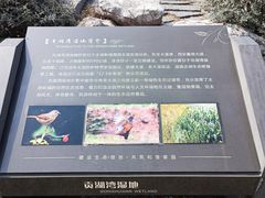 -贡湖湾湿地公园