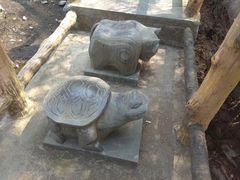 -王顺山国家森林公园