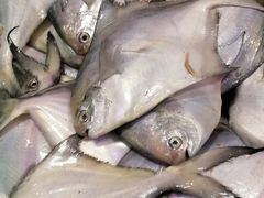 -芦潮港集贸市场