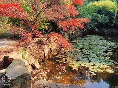 -穹窿山景区