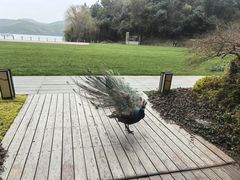 -天目湖涵田半山温泉