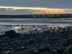 -宝安西湾红树林湿地公园