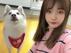 -Husky Go! 哈士奇体验馆·宠物咖啡厅狗咖