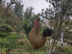 -合肥滨湖国家森林公园