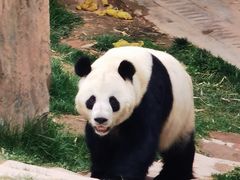 -青藏高原野生动物园