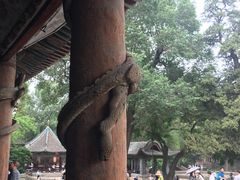 -晋祠公园
