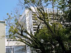 -香港大学