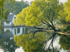 -上海共青森林公园