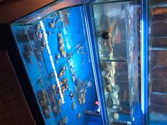 -鑫釜山海鲜烧烤(浑南店)