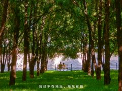 -七寻八找·胡同菜