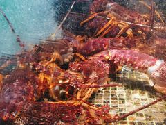 -海鲜e族(马王堆店)