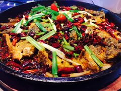 -老板恋上鱼(恒隆广场店)