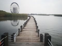 -太湖湖滨国家湿地公园-停车场
