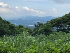 -广州市帽峰山景区