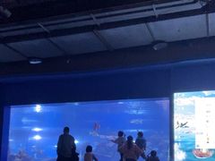 -重庆欢乐海底世界