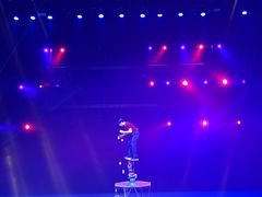 -重庆国际马戏城