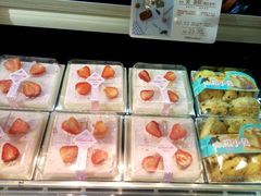 -蒲公英(五里店)