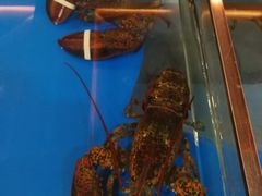 -盛福楼·惠山宴(盛岸路店)