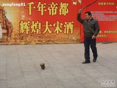 -中国翰园碑林