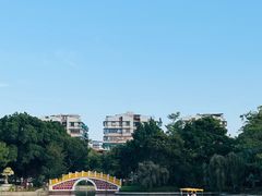 -公园茶楼粤式点心
