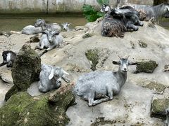 -深圳野生动物园
