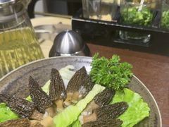 -滇野云南野生菌餐厅(陕西南路店)