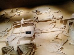 -洛阳周王城天子驾六博物馆