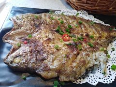 -九府羊·鲜羊火锅·烤串(新华路店)