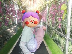 -西霞口神雕山野生动物世界