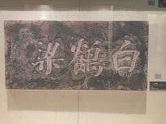 -白鹤梁水下博物馆
