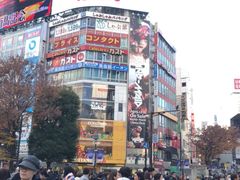 -涩谷区