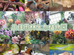 -正佳雨林生态植物园