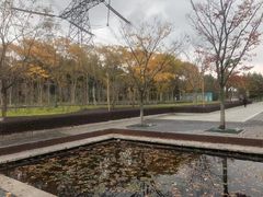 -长田漾湿地公园