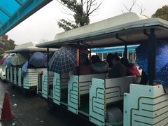 游览车-上海海湾国家森林公园