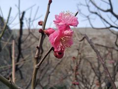 -北京明城墙遗址公园