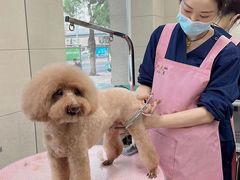-北京观赏动物医院·24小时大型综合·猫专科·异宠专科