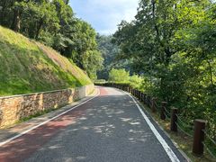 -桃花岭景区