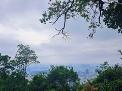 -阳台山森林公园