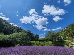 -云峰山自然风景区