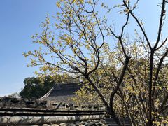 -宁波市保国寺古建筑博物馆