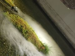 -几荷·恰似故人来(秀水广场店)