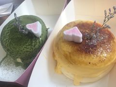 -狐狸和向日葵(北京路店)