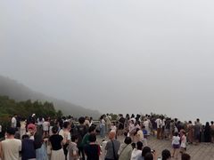 -花竹村