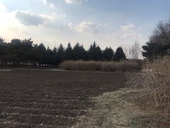 -长春公园(普阳街道)